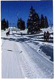 ski